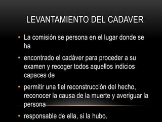 LEVANTAMIENTO DEL CADAVER 
• La comisión se persona en el lugar donde se 
ha 
• encontrado el cadáver para proceder a su 
examen y recoger todos aquellos indicios 
capaces de 
• permitir una fiel reconstrucción del hecho, 
reconocer la causa de la muerte y averiguar la 
persona 
• responsable de ella, si la hubo. 
 