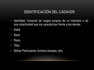 IDENTIFICACIÓN DEL CADAVER 
• Identidad: Conjunto de rasgos propios de un individuo o de 
una colectividad que los caracterizan frente a los demás. 
• Edad. 
• Sexo. 
• Raza. 
• Talla. 
• Señas Particulares (lunares,tatuajes, etc) 
 