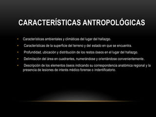 CARACTERÍSTICAS ANTROPOLÓGICAS 
• Características ambientales y climáticas del lugar del hallazgo. 
• Características de la superficie del terreno y del estado en que se encuentra. 
• Profundidad, ubicación y distribución de los restos óseos en el lugar del hallazgo. 
• Delimitación del área en cuadrantes, numerándose y orientándose convenientemente. 
• Descripción de los elementos óseos indicando su correspondencia anatómica regional y la 
presencia de lesiones de interés médico forense o indentificatorio. 
 