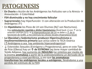 PATOGENESIS
• En Ovario x Acción de los Andrógenos los Folículos van a la Atresia →
Anovulación → Esterilidad
• FSH disminuida y no hay crecimiento folicular
• Suprarrenales hay Hiperfunción → con alteración en la Producción de
Andrógeno (↑)
• En Hipotálamo los Picos de LH son Diurnos (N// son Nocturnos).
• Hay estimulación repetida x disfxn hipotalamica (feed back +) con ↑ en la
relación LH/FSH (3/1) → la Hiperproduccion de LH se debe a ↑ de la
Secreción de GnRh, y me estimula las células tecales (hiperplasia tecal)
• La Obesidad y Sedentarismo producen Hiperinsulinismo o
insulinorresistencia primaria que actúa sobre la TECA Ovárica
(↑Andrógeno o sea hay ambiente hiperandrogenico)
• ↓ Esteroides Sexuales (Estrógeno y Progesterona), pero en este Tipo
de Pcte (Obesa) hay un ↑ de ESTRONA (xq tiene mayor cantidad de
Tejido Adiposo, hay aumento de INSULINA (se sintetiza por medio de
la enzima aromatasa a partir de la androstenediona un derivado de la
progesterona a nivel periférico, o sea que las aromatasas
transforman los andrógenos tecales a estrógenos, llevándome a una
perdida del estímulo de la FSH)
 