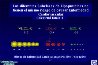Las diferentes Subclases de Lipoproteinas no tienen el mismo riesgo de causar Enfermedad Cardiovascular Colester ol Total (+) Riesgo de Enfermedad Cardiovascular: Positivo  (+) Negativo (-) 