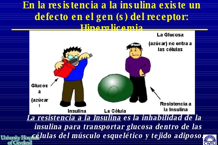 Sop Y La Insulina Armario Limpieza ~ Sop Y La Insulina