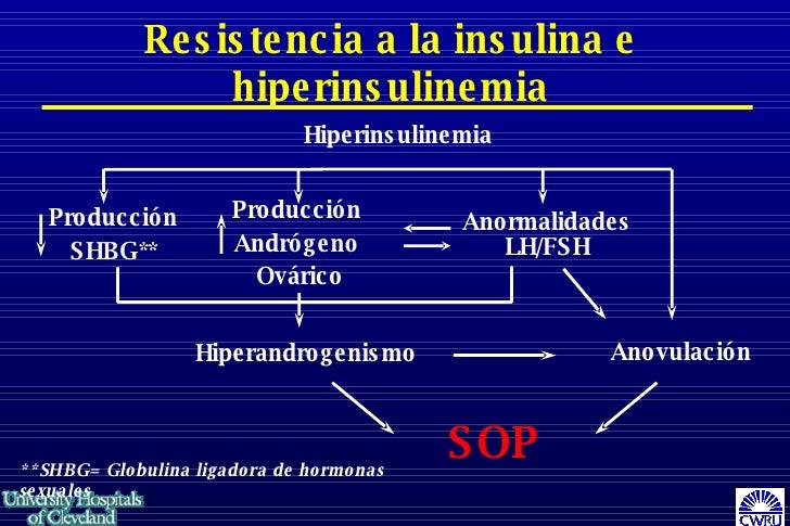 Sop Y La Insulina Sop Y La Insulina