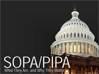 SOPA/PIPA
What They Are, and Why They Matter   Photo by Kevin Burkett
 