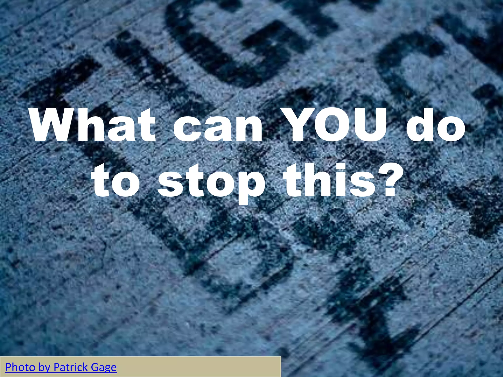 What can YOU do
     to stop this?


Photo by Patrick Gage
 