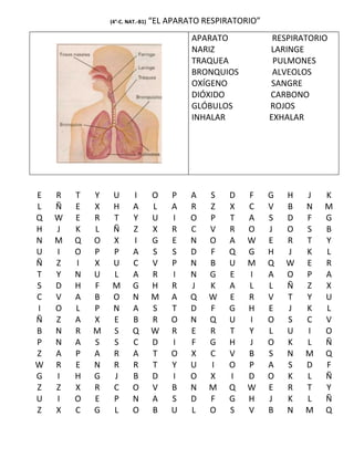 (4°-C. NAT.-B1)   “EL APARATO RESPIRATORIO”
                                           APARATO             RESPIRATORIO
                                           NARIZ              LARINGE
                                           TRAQUEA             PULMONES
                                           BRONQUIOS           ALVEOLOS
                                           OXÍGENO            SANGRE
                                           DIÓXIDO            CARBONO
                                           GLÓBULOS           ROJOS
                                           INHALAR            EXHALAR




E   R   T   Y    U       I        O    P   A   S    D   F     G   H   J   K
L   Ñ   E   X    H       A        L    A   R   Z    X   C     V   B   N   M
Q   W   E   R    T       Y        U    I   O   P    T   A     S   D   F   G
H   J   K   L    Ñ       Z        X    R   C   V    R   O     J   O   S   B
N   M   Q   O    X       I        G    E   N   O    A   W     E   R   T   Y
U   I   O   P    P       A        S    S   D   F    Q   G     H   J   K   L
Ñ   Z   I   X    U       C        V    P   N   B    U   M     Q   W   E   R
T   Y   N   U    L       A        R    I   N   G    E   I     A   O   P   A
S   D   H   F    M       G        H    R   J   K    A   L     L   Ñ   Z   X
C   V   A   B    O       N        M    A   Q   W    E   R     V   T   Y   U
I   O   L   P    N       A        S    T   D   F    G   H     E   J   K   L
Ñ   Z   A   X    E       B        R    O   N   Q    U   I     O   S   C   V
B   N   R   M    S       Q        W    R   E   R    T   Y     L   U   I   O
P   N   A   S    S       C        D    I   F   G    H   J     O   K   L   Ñ
Z   A   P   A    R       A        T    O   X   C    V   B     S   N   M   Q
W   R   E   N    R       R        T    Y   U   I    O   P     A   S   D   F
G   I   H   G    J       B        D    I   O   X    I   D     O   K   L   Ñ
Z   Z   X   R    C       O        V    B   N   M    Q   W     E   R   T   Y
U   I   O   E    P       N        A    S   D   F    G   H     J   K   L   Ñ
Z   X   C   G    L       O        B    U   L   O    S   V     B   N   M   Q
 