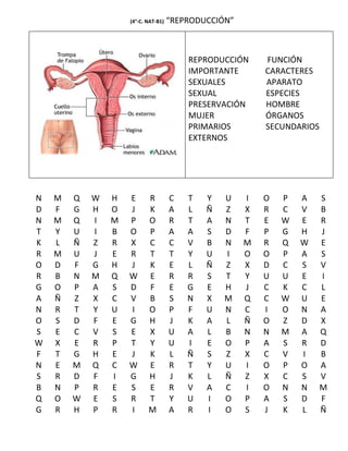 (4°-C. NAT-B1)   “REPRODUCCIÓN”



                                         REPRODUCCIÓN     FUNCIÓN
                                         IMPORTANTE       CARACTERES
                                         SEXUALES         APARATO
                                         SEXUAL           ESPECIES
                                         PRESERVACIÓN     HOMBRE
                                         MUJER            ÓRGANOS
                                         PRIMARIOS        SECUNDARIOS
                                         EXTERNOS




N   M   Q   W   H   E      R         C   T   Y   U    I   O   P   A     S
D   F   G   H   O   J      K         A   L   Ñ   Z    X   R   C   V     B
N   M   Q   I   M   P      O         R   T   A   N    T   E   W   E     R
T   Y   U   I   B   O      P         A   A   S   D    F   P   G   H     J
K   L   Ñ   Z   R   X      C         C   V   B   N    M   R   Q   W     E
R   M   U   J   E   R      T         T   Y   U   I    O   O   P   A     S
O   D   F   G   H   J      K         E   L   Ñ   Z    X   D   C   S     V
R   B   N   M   Q   W      E         R   R   S   T    Y   U   U   E     I
G   O   P   A   S   D      F         E   G   E   H    J   C   K   C     L
A   Ñ   Z   X   C   V      B         S   N   X   M    Q   C   W   U     E
N   R   T   Y   U   I      O         P   F   U   N    C   I   O   N     A
O   S   D   F   E   G      H         J   K   A   L    Ñ   O   Z   D     X
S   E   C   V   S   E      X         U   A   L   B    N   N   M   A     Q
W   X   E   R   P   T      Y         U   I   E   O    P   A   S   R     D
F   T   G   H   E   J      K         L   Ñ   S   Z    X   C   V   I     B
N   E   M   Q   C   W      E         R   T   Y   U    I   O   P   O     A
S   R   D   F   I   G      H         J   K   L   Ñ    Z   X   C   S     V
B   N   P   R   E   S      E         R   V   A   C    I   O   N   N     M
Q   O   W   E   S   R      T         Y   U   I   O    P   A   S   D     F
G   R   H   P   R   I      M         A   R   I   O    S   J   K   L     Ñ
 