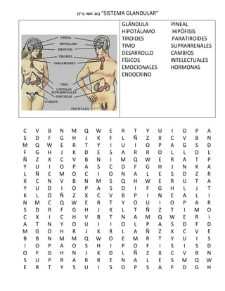 (5°-C. NAT.-B1)   “SISTEMA GLANDULAR”
                                            GLÁNDULA          PINEAL
                                            HIPOTÁLAMO         HIPÓFISIS
                                            TIROIDES           PARATIROIDES
                                            TIMO              SUPRARRENALES
                                            DESARROLLO        CAMBIOS
                                            FÍSICOS           INTELECTUALES
                                            EMOCIONALES       HORMONAS
                                            ENDOCRINO




C   V   B   N   M       Q       W       E   R   T   Y     U   I   O   P   A
S   D   F   G   H       J       K       F   L   Ñ   Z     X   C   V   B   N
M   Q   W   E   R       T       Y       I   U   I   O     P   A   G   S   D
F   G   H   J   K       D       E       S   A   R   R     O   L   L   O   L
Ñ   Z   X   C   V       B       N       I   M   Q   W     E   R   A   T   P
Y   U   I   O   P       A       S       C   D   F   G     H   J   N   K   A
L   Ñ   E   M   O       C       I       O   N   A   L     E   S   D   Z   R
X   C   N   V   B       N       M       S   Q   H   W     E   R   U   T   A
Y   U   D   I   O       P       A       S   D   I   F     G   H   L   J   T
K   L   O   Ñ   Z       X       C       V   B   P   I     N   E   A   L   I
N   M   C   Q   W       E       R       T   Y   O   U     I   O   P   A   R
S   D   R   F   G       H       J       K   L   T   Ñ     Z   T   I   M   O
C   X   I   C   H       V       B       T   N   A   M     Q   W   E   R   I
A   T   N   Y   O       U       I       I   O   L   P     A   S   D   F   D
M   G   O   H   R       J       K       R   L   A   Ñ     Z   X   C   V   E
B   B   N   M   M       Q       W       O   E   M   R     T   Y   U   I   S
I   O   P   A   O       S       H       I   P   O   F     I   S   I   S   D
O   F   G   H   N       J       K       D   L   Ñ   Z     X   C   V   B   N
S   U   P   R   A       R       R       E   N   A   L     E   S   M   Q   W
E   R   T   Y   S       U       I       S   O   P   S     A   F   D   G   H
 