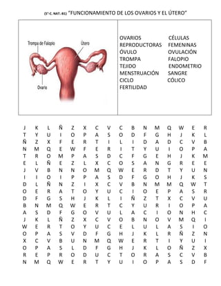 (5°-C. NAT.-B1)   “FUNCIONAMIENTO DE LOS OVARIOS Y EL ÚTERO”



                                            OVARIOS          CÉLULAS
                                            REPRODUCTORAS    FEMENINAS
                                            ÓVULO            OVULACIÓN
                                            TROMPA           FALOPIO
                                            TEJIDO           ENDOMETRIO
                                            MENSTRUACIÓN     SANGRE
                                            CICLO            CÓLICO
                                            FERTILIDAD




J   K    L       Ñ        Z    X   C   V   C    B   N   M   Q    W     E   R
T   Y    U       I        O    P   A   S   O    D   F   G   H    J     K   L
Ñ   Z    X       F        E    R   T   I   L    I   D   A   D    C     V   B
N   M    Q       E        W    F   E   R   I    T   Y   U   I    O     P   A
T   R    O       M        P    A   S   D   C    F   G   E   H    J     K   M
E   L    Ñ       E        Z    L   X   C   O    S   A   N   G    R     E   E
J   V    B       N        N    O   M   Q   W    E   R   D   T    Y     U   N
I   I    O       I        P    P   A   S   D    F   G   O   H    J     K   S
D   L    Ñ       N        Z    I   X   C   V    B   N   M   M    Q     W   T
O   E    R       A        T    O   Y   U   C    I   O   E   P    A     S   R
D   F    G       S        H    J   K   L   I    Ñ   Z   T   X    C     V   U
B   N    M       Q        W    E   R   T   C    Y   U   R   I    O     P   A
A   S    D       F        G    O   V   U   L    A   C   I   O    N     H   C
J   K    L       Ñ        Z    X   C   V   O    B   N   O   V    M     Q   I
W   E    R       T        O    Y   U   C   E    L   U   L   A    S     I   O
O   P    A       S        V    D   F   G   H    J   K   L   R    Ñ     Z   N
X   C    V       B        U    N   M   Q   W    E   R   T   I    Y     U   I
O   P    A       S        L    D   F   G   H    J   K   L   O    Ñ     Z   X
R   E    P       R        O    D   U   C   T    O   R   A   S    C     V   B
N   M    Q       W        E    R   T   Y   U    I   O   P   A    S     D   F
 