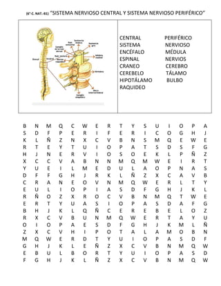(6°-C. NAT.-B1)   “SISTEMA NERVIOSO CENTRAL Y SISTEMA NERVIOSO PERIFÉRICO”



                                           CENTRAL          PERIFÉRICO
                                           SISTEMA          NERVIOSO
                                           ENCÉFALO         MÉDULA
                                           ESPINAL          NERVIOS
                                           CRANEO           CEREBRO
                                           CEREBELO         TÁLAMO
                                           HIPOTÁLAMO        BULBO
                                           RAQUIDEO




B    N       M       Q   C   W    E   R   T    Y   S    U   I    O   P   A
S    D       F       P   E   R    I   F   E    R   I    C   O    G   H   J
K    L       Ñ       Z   N   X    C   V   B    N   S    M   Q    E   W   E
R    T       E       Y   T   U    I   O   P    A   T    S   D    S   F   G
H    J       N       E   R   V    I   O   S    O   E    K   L    P   Ñ   Z
X    C       C       V   A   B    N   N   M    Q   M    W   E    I   R   T
Y    U       E       I   L   M    E   D   U    L   A    O   P    N   A   S
D    F       F       G   H   J    R   K   L    Ñ   Z    X   C    A   V   B
C    R       A       N   E   O    V   N   M    Q   W    E   R    L   T   Y
E    U       L       I   O   P    I   A   S    D   F    G   H    J   K   L
R    Ñ       O       Z   X   R    O   C   V    B   N    M   Q    T   W   E
E    R       T       Y   U   A    S   I   O    P   A    S   D    A   F   G
B    H       J       K   L   Q    Ñ   C   E    R   E    B   E    L   O   Z
R    X       C       V   B   U    N   M   Q    W   E    R   T    A   Y   U
O    I       O       P   A   E    S   D   F    G   H    J   K    M   L   Ñ
Z    X       C       V   H   I    P   O   T    A   L    A   M    O   B   N
M    Q       W       E   R   D    T   Y   U    I   O    P   A    S   D   F
G    H       J       K   L   E    Ñ   Z   X    C   V    B   N    M   Q   W
E    B       U       L   B   O    R   T   Y    U   I    O   P    A   S   D
F    G       H       J   K   L    Ñ   Z   X    C   V    B   N    M   Q   W
 