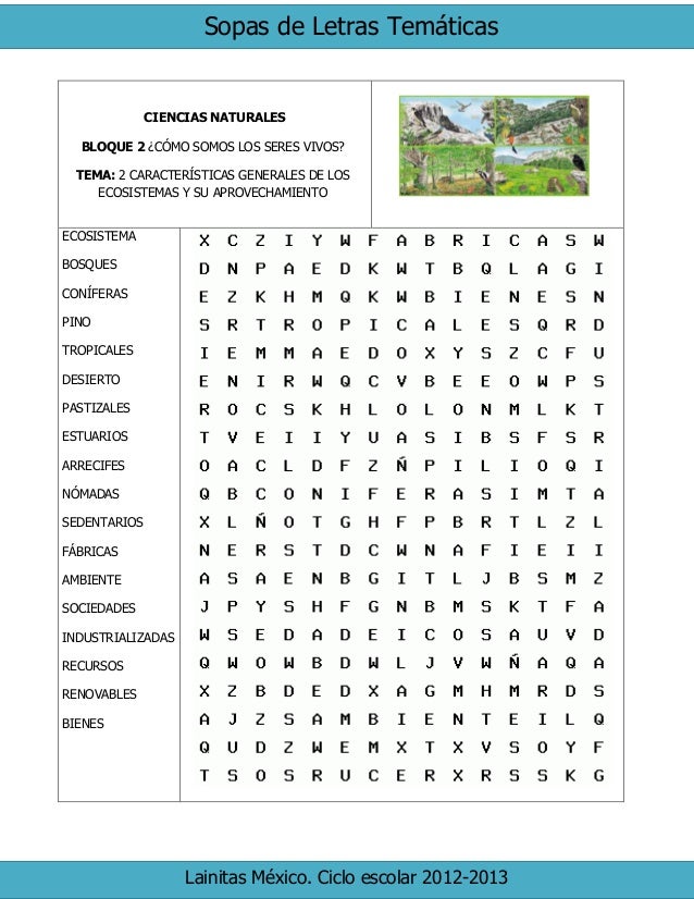 esquema de un proyecto