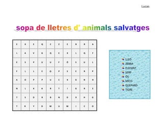 Lucas
E K E Q C Z E B R A
L A V G Q E X L Q F
E S P U U F Ó S U L
F L L E O P S E R P
A O P P U C X G N H
N L K A R T I G R E
T S D R B N D X H G
T R Y D M U M I C O
LLEÓ
ZEBRA
ELEFANT
SERP
ÓS
MICO
GUEPARD
TIGRE
 