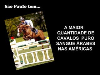 São Paulo tem...



                      A MAIOR
                   QUANTIDADE DE
                   CAVALOS PURO
                   SANGUE ÁRABES
                    NAS AMÉRICAS
 