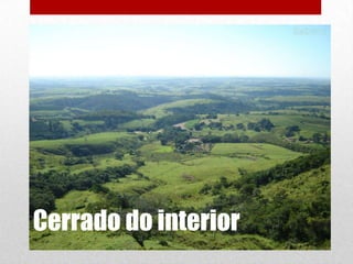Cerrado do interior

 