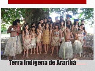 Terra Indígena de Araribá

 