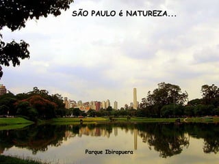 SÃO PAULO é NATUREZA...




  Parque Ibirapuera
 