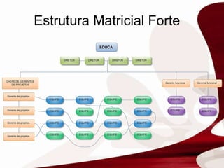 Estrutura Matricial Forte 
