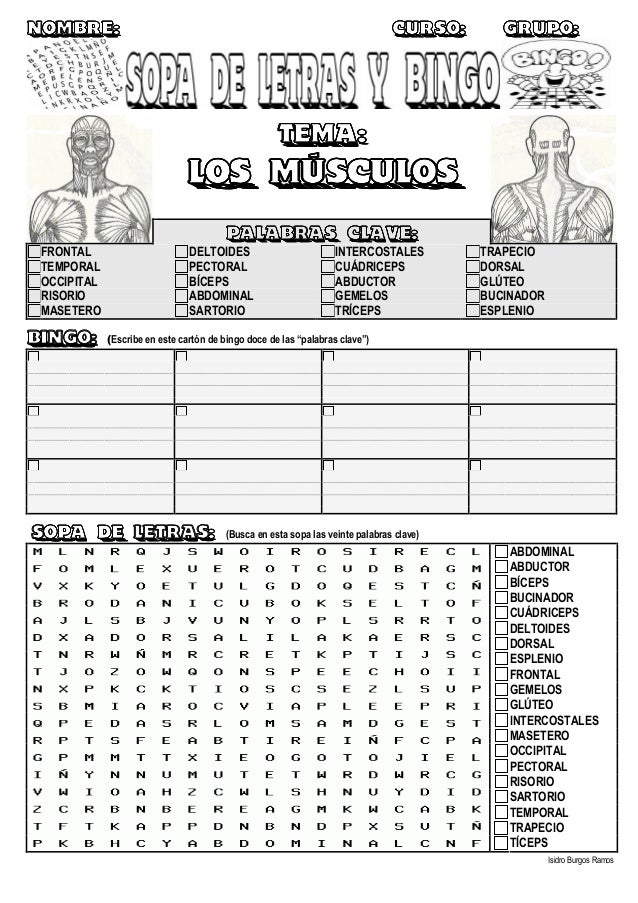 Resultado de imagen para taller sobre el sistema muscular