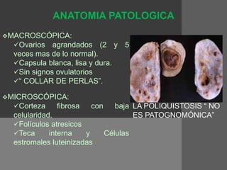 ANATOMIA PATOLOGICA
MACROSCÓPICA:
Ovarios agrandados (2 y 5
veces mas de lo normal).
Capsula blanca, lisa y dura.
Sin signos ovulatorios
“ COLLAR DE PERLAS”.
MICROSCÓPICA:
Corteza fibrosa con baja
celularidad.
Folículos atresicos
Teca interna y Células
estromales luteinizadas
LA POLIQUISTOSIS “ NO
ES PATOGNOMÓNICA”
 