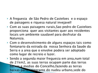 A freguesia  de São Pedro de Casteloes  e o espaço  de paisagens e riquesa natural invejavel! Com as suas paisagens rurais,Sao pedro de Casteloes proporciona  quer aos visitantes quer aos residentes locais um ambiente saudavel para desfrutar da Natureza. Com o desenvolvimento de alguns espaços tais como fontanario da estrada da  nossa Senhora da Saude da Serra e a area que o envolve podera ser adoptado como lugar de recreio e lazer. Sendo a segunda maior freguesia em area,num total de 21km2, as suas terras ocupam parte das terras baixas e medias do Concelho,fazendo as terras baixas parte integrante do nudeu urbano,sede do Concelho. 