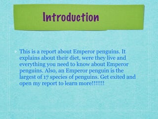 Introduction
This is a report about Emperor penguins. It
explains about their diet, were they live and
everything you need to know about Emperor
penguins. Also, an Emperor penguin is the
largest of 17 species of penguins. Get exited and
open my report to learn more!!!!!!!
 