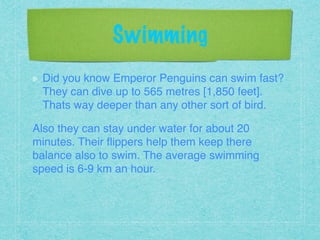 Swimming
Did you know Emperor Penguins can swim fast?
They can dive up to 565 metres [1,850 feet].
Thats way deeper than any other sort of bird. !
Also they can stay under water for about 20
minutes. Their ﬂippers help them keep there
balance also to swim. The average swimming
speed is 6-9 km an hour.!
!
!
 