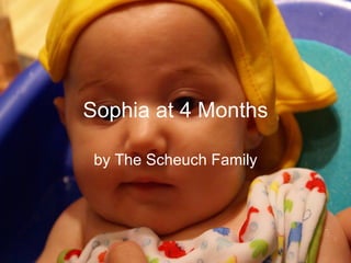 Sophia at 4 Months by The Scheuch Family 