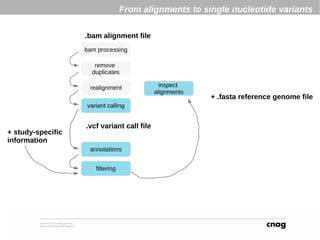 Variant calling and how to prioritize somatic mutations and inheritated ...