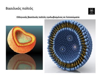 Ελληνικός βασιλικός πολτός εγκλωβισμένος σε λιποσώματα 
Βασιλικός πολτός  