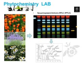 •Χρωματογραφική Ανάλυση (HPLC, HPTLC) 
Phytochemistry LAB  