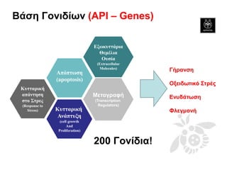 Βάση Γονιδίων (API – Genes) 
Εξωκυττάρια Θεμέλια Ουσία (Extracellular Molecules) 
Μεταγραφή (Transcription Regulators) 
Κυτταρική Ανάπτυξη (cell growth And Proliferation) 
Απόπτωση (apoptosis) 
Κυτταρικήαπάντηση στο Στρες 
(Response to Stress) 
Γήρανση 
Οξειδωτικό Στρές 
Ενυδάτωση 
Φλεγμονή 
200 Γονίδια!  