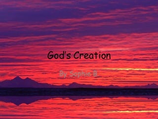 God’s Creation By Sophie B. 