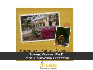 Sophie Warny, Ph.D.
MNS Education Director
 