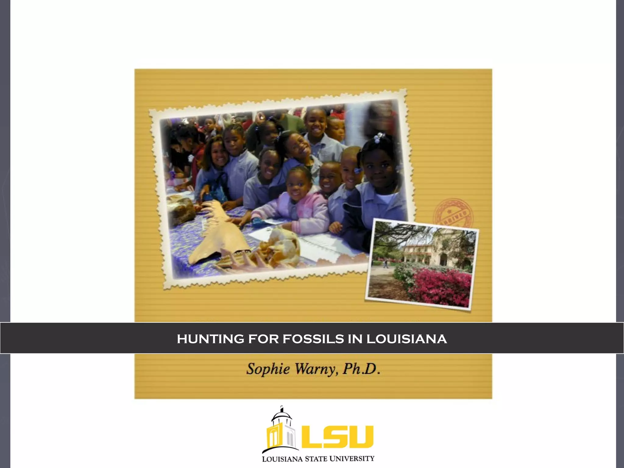 HUNTING FOR FOSSILS IN LOUISIANA
 