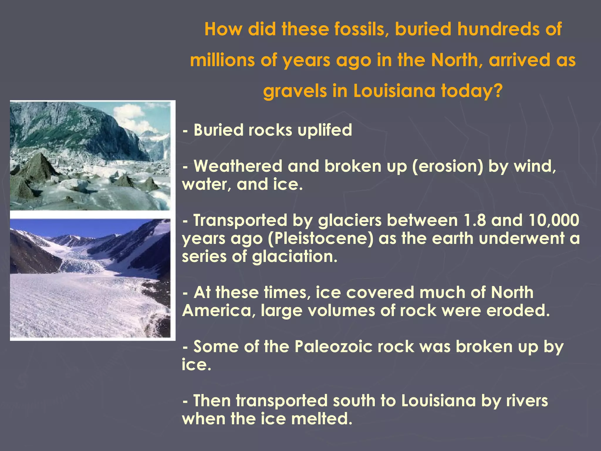 How did these fossils, buried hundreds of
millions of years ago in the North, arrived as
gravels in Louisiana today?
- Buried rocks uplifed
- Weathered and broken up (erosion) by wind,
water, and ice.
- Transported by glaciers between 1.8 and 10,000
years ago (Pleistocene) as the earth underwent a
series of glaciation.
- At these times, ice covered much of North
America, large volumes of rock were eroded.
- Some of the Paleozoic rock was broken up by
ice.
- Then transported south to Louisiana by rivers
when the ice melted.
 