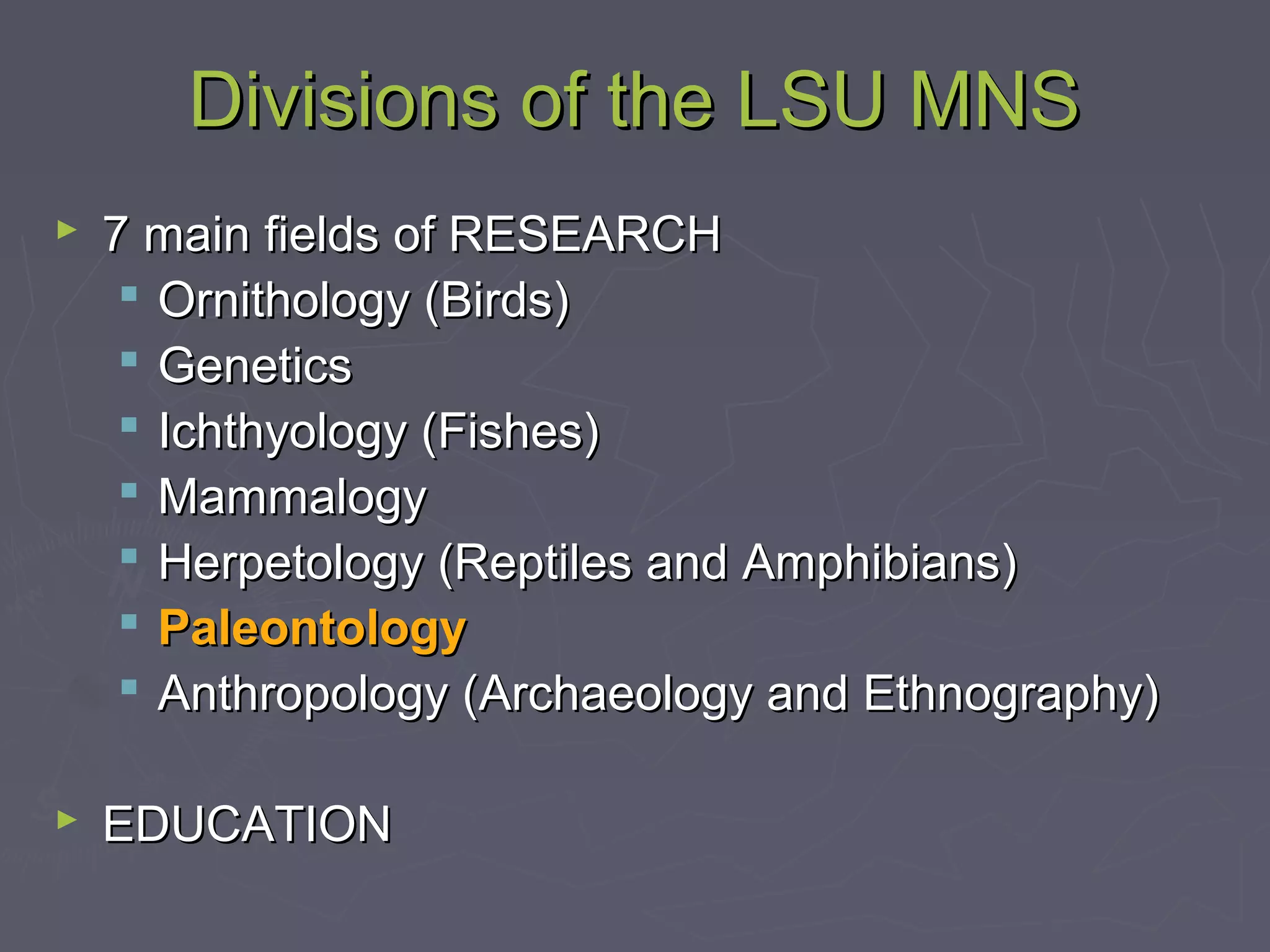 Divisions of the LSU MNSDivisions of the LSU MNS
 7 main fields of RESEARCH7 main fields of RESEARCH
 Ornithology (Birds)Ornithology (Birds)
 GeneticsGenetics
 Ichthyology (Fishes)Ichthyology (Fishes)
 MammalogyMammalogy
 Herpetology (Reptiles and Amphibians)Herpetology (Reptiles and Amphibians)
 PaleontologyPaleontology
 Anthropology (Archaeology and Ethnography)Anthropology (Archaeology and Ethnography)
 EDUCATIONEDUCATION
 