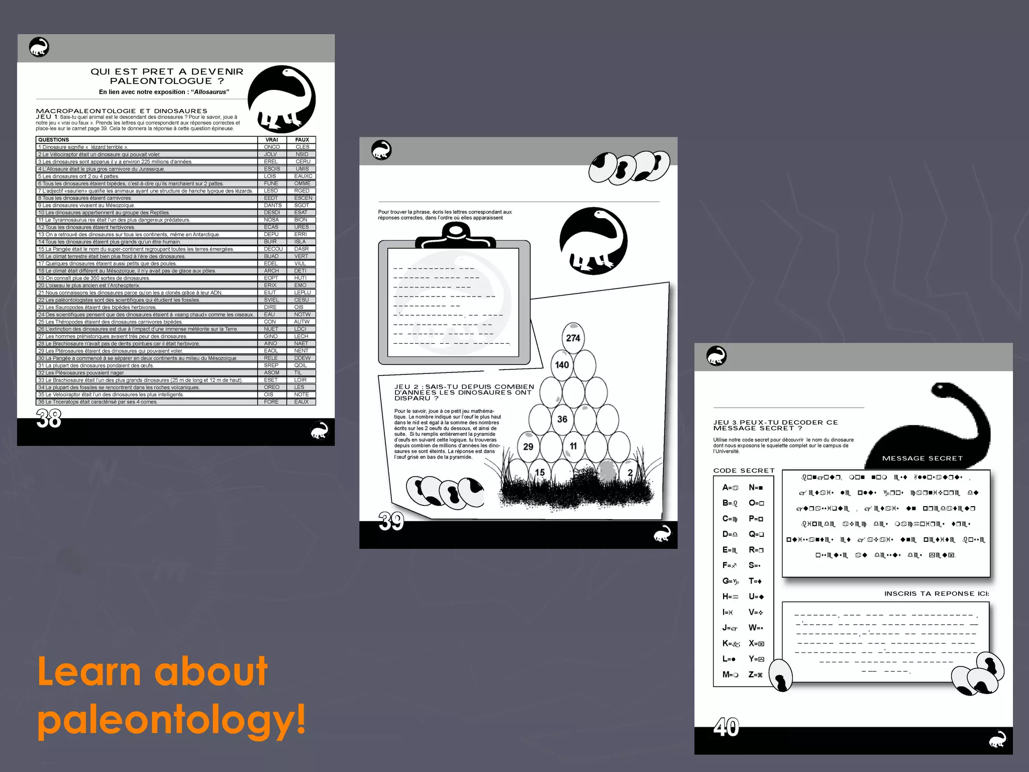 Learn about
paleontology!
 