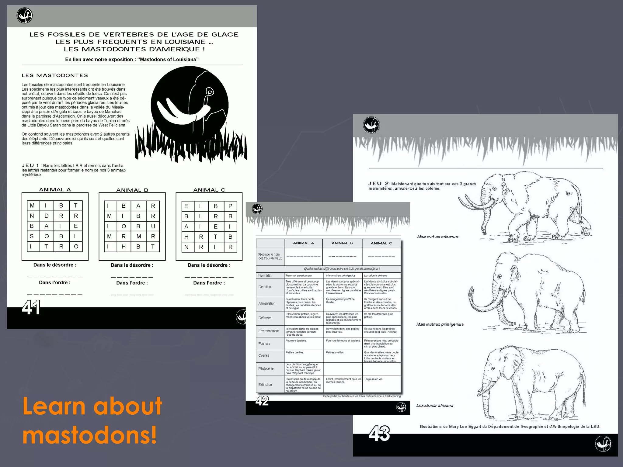 Learn about
mastodons!
 