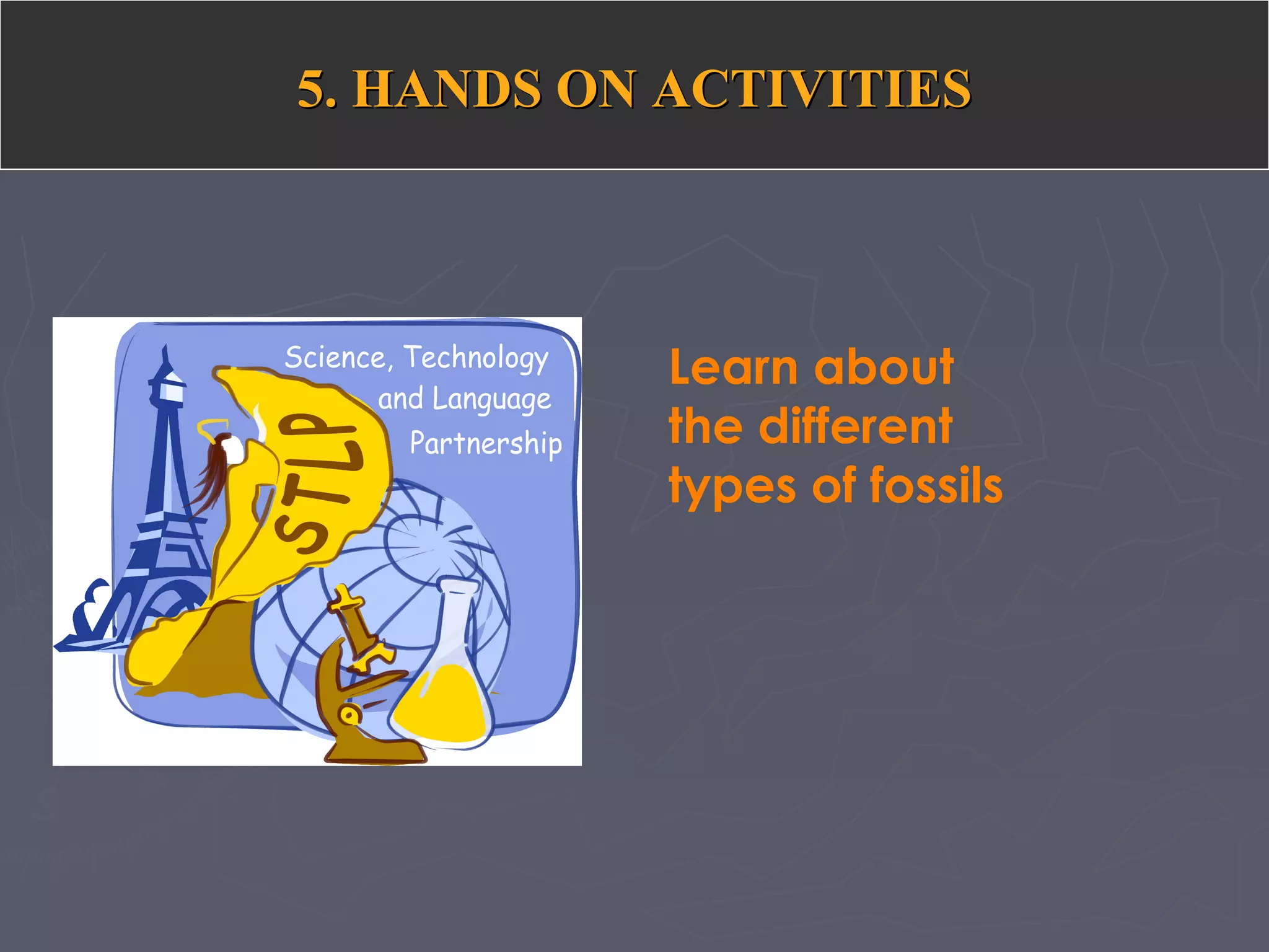 5. HANDS ON ACTIVITIES5. HANDS ON ACTIVITIES
Learn about
the different
types of fossils
 