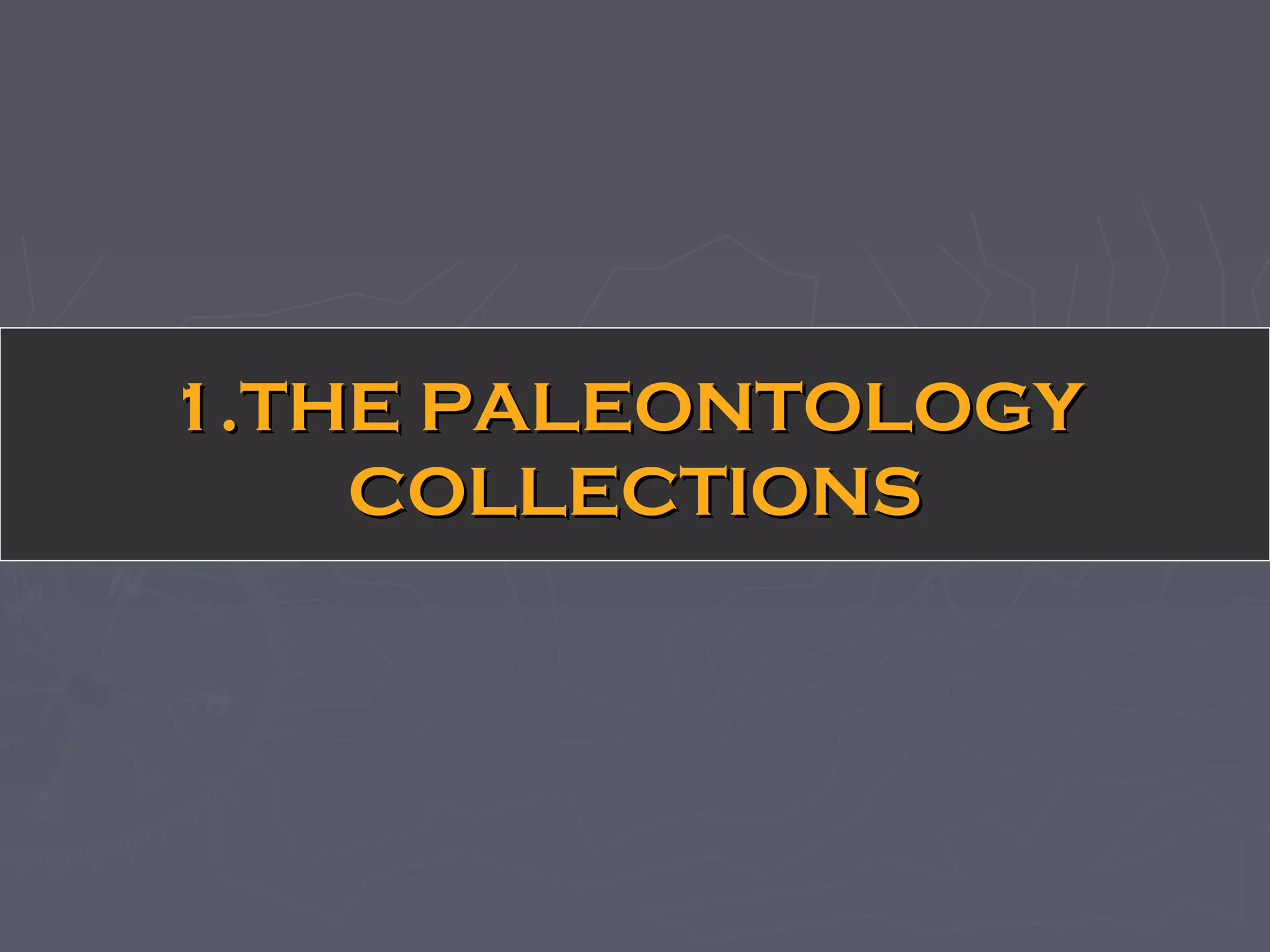 1.1.THE PALEONTOLOGYTHE PALEONTOLOGY
COLLECTIONSCOLLECTIONS
 