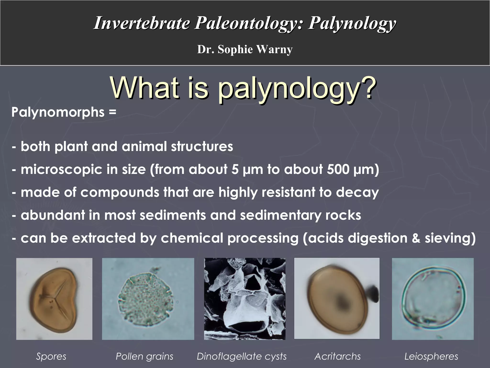 What is palynology?What is palynology?
Palynomorphs =
- both plant and animal structures
- microscopic in size (from about 5 µm to about 500 µm)
- made of compounds that are highly resistant to decay
- abundant in most sediments and sedimentary rocks
- can be extracted by chemical processing (acids digestion & sieving)
Spores Pollen grains Dinoflagellate cysts Acritarchs Leiospheres
Invertebrate Paleontology: PalynologyInvertebrate Paleontology: Palynology
Dr. Sophie Warny
 
