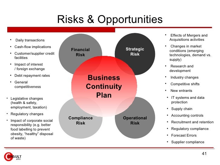 risk and opportunity business plan