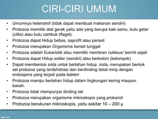 CIRI-CIRI UMUM
• Umumnya heterotrof (tidak dapat membuat makanan sendiri)
• Protozoa memiliki alat gerak yaitu ada yang berupa kaki semu, bulu getar
(cillia) atau bulu cambuk (flagel).
• Protozoa dapat Hidup bebas, saprofit atau parasit
• Protozoa merupakan Organisme bersel tunggal
• Protozoa adalah Eukariotik atau memiliki membran nukleus/ berinti sejati
• Protozoa dapat Hidup soliter (sendiri) atau berkoloni (kelompok)
• Dapat membentuk sista untuk bertahan hidup. sista, merupakan bentuk
sel protozoa yang terdehidrasi dan berdinding tebal mirip dengan
endospora yang terjadi pada bakteri
• Protozoa mampu bertahan hidup dalam lingkungan kering maupun
basah.
• Protozoa tidak mempunyai dinding sel
• Protozoa merupakan organisme mikroskopis yang prokariot
• Protozoa berukuran mikroskopis, yaitu sekitar 10 – 200 µ
 