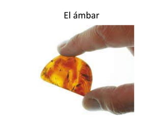El ámbar
 