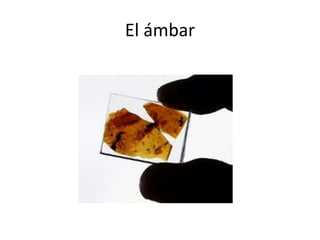 El ámbar
 