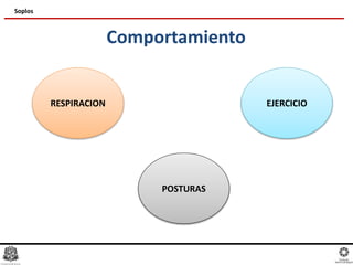 Comportamiento
Soplos
RESPIRACION
POSTURAS
EJERCICIO
 