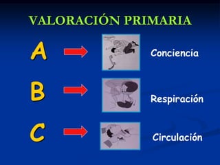 VALORACIÓN PRIMARIA

A             Conciencia



B             Respiración



C             Circulación
 