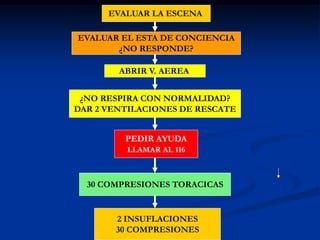 EVALUAR LA ESCENA

EVALUAR EL ESTA DE CONCIENCIA
       ¿NO RESPONDE?

        ABRIR V. AEREA


 ¿NO RESPIRA CON NORMALIDAD?
DAR 2 VENTILACIONES DE RESCATE


         PEDIR AYUDA
         LLAMAR AL 116



  30 COMPRESIONES TORACICAS


       2 INSUFLACIONES
       30 COMPRESIONES
 