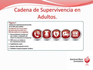 Cadena de Supervivencia en
Adultos.
 