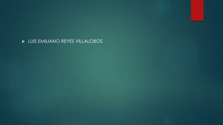  LUIS EMILIANO REYES VILLALOBOS
 